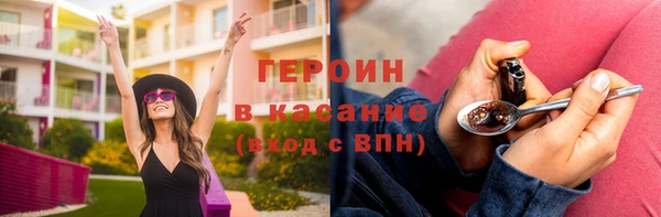 гидра Богородицк