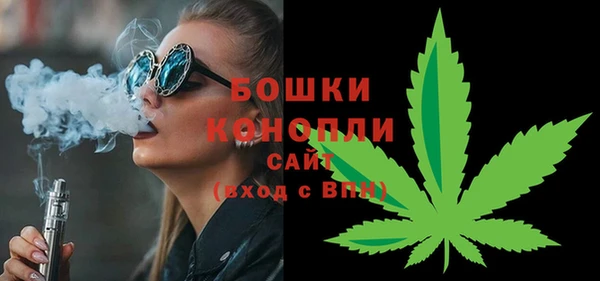 гидра Богородицк