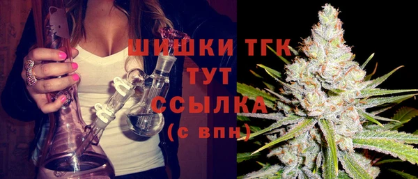 гидра Богородицк
