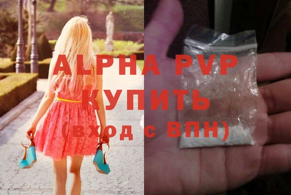гидра Богородицк