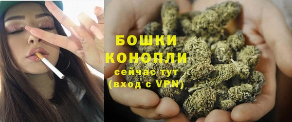 хмурый Богородск