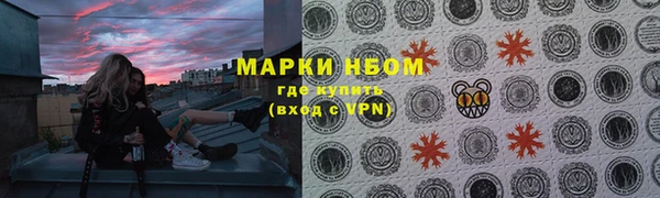 гидра Богородицк
