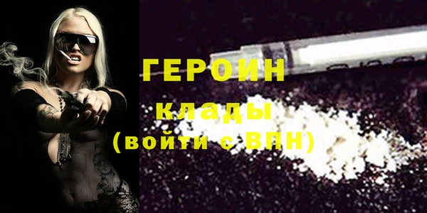 гидра Богородицк