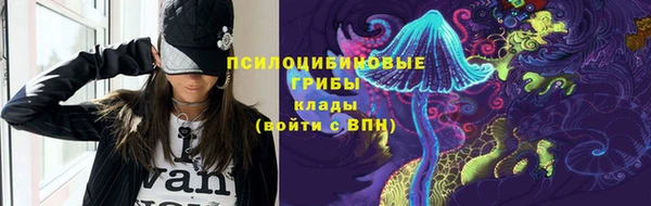 гидра Богородицк