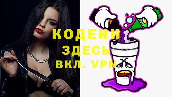 гидра Богородицк